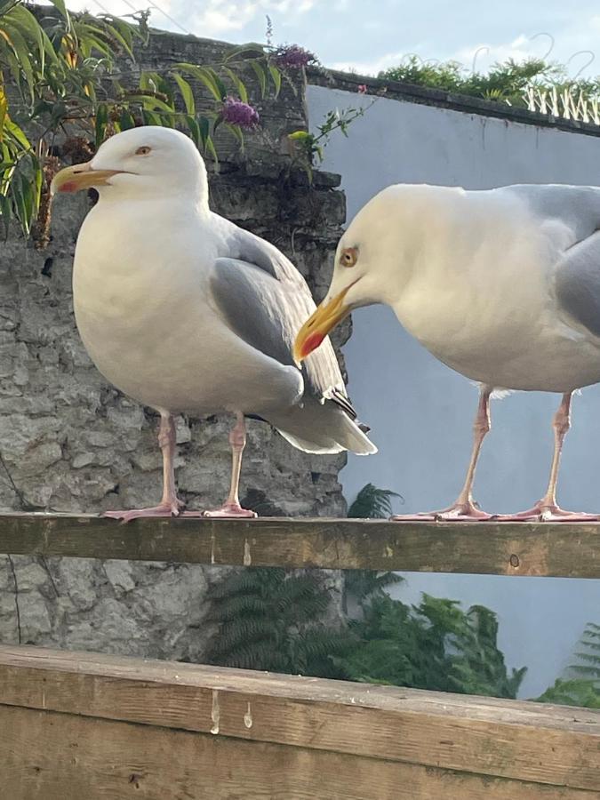 Garden Flat Torquay Just 2 Mins Walk From The Harbour Apartment Exterior foto